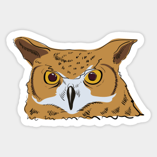 Angry owl Sticker